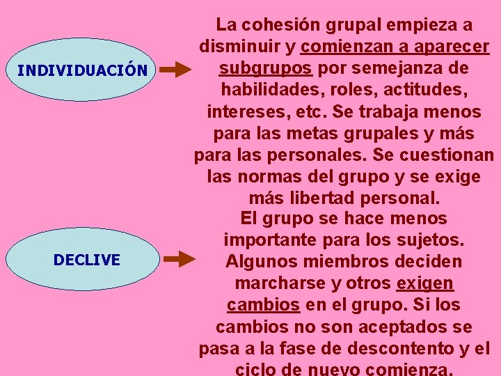 INDIVIDUACIÓN DECLIVE La cohesión grupal empieza a disminuir y comienzan a aparecer subgrupos por