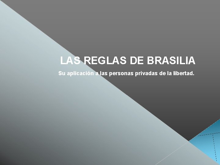 LAS REGLAS DE BRASILIA Su aplicación a las personas privadas de la libertad. 
