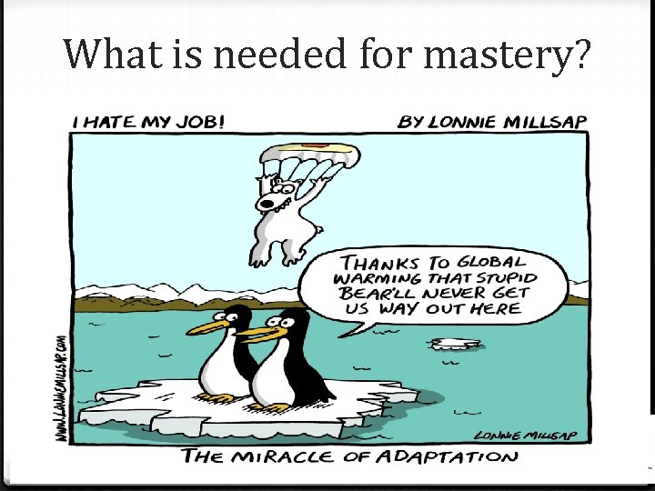 What is needed for mastery? University of Kansas Center for Research on Learning 2006