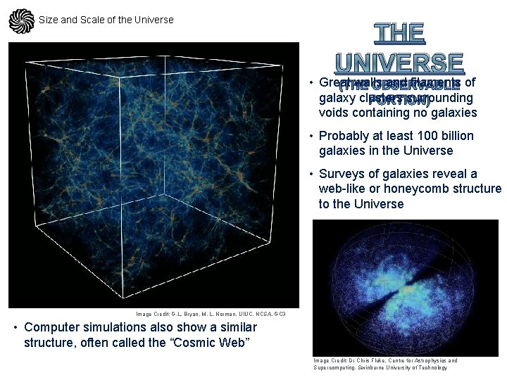 Size and Scale of the Universe THE UNIVERSE • Great walls and filaments of