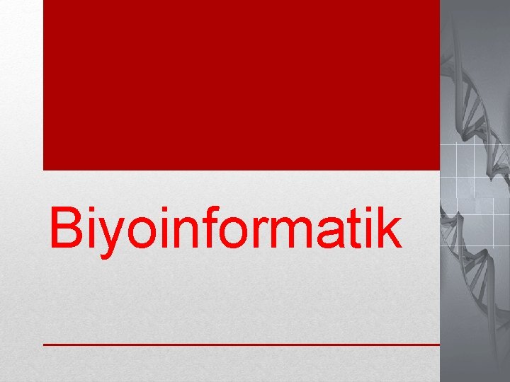 Biyoinformatik 