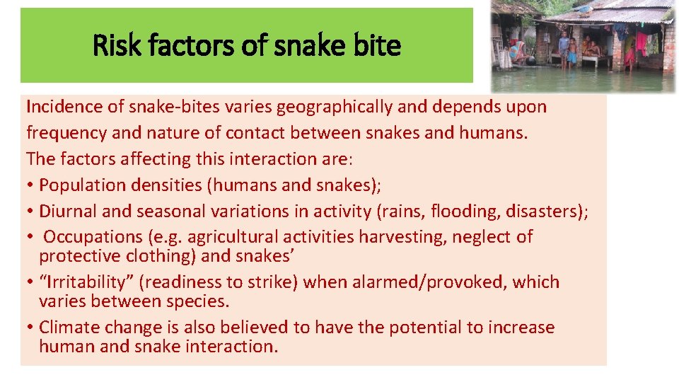 Risk factors of snake bite Incidence of snake-bites varies geographically and depends upon frequency