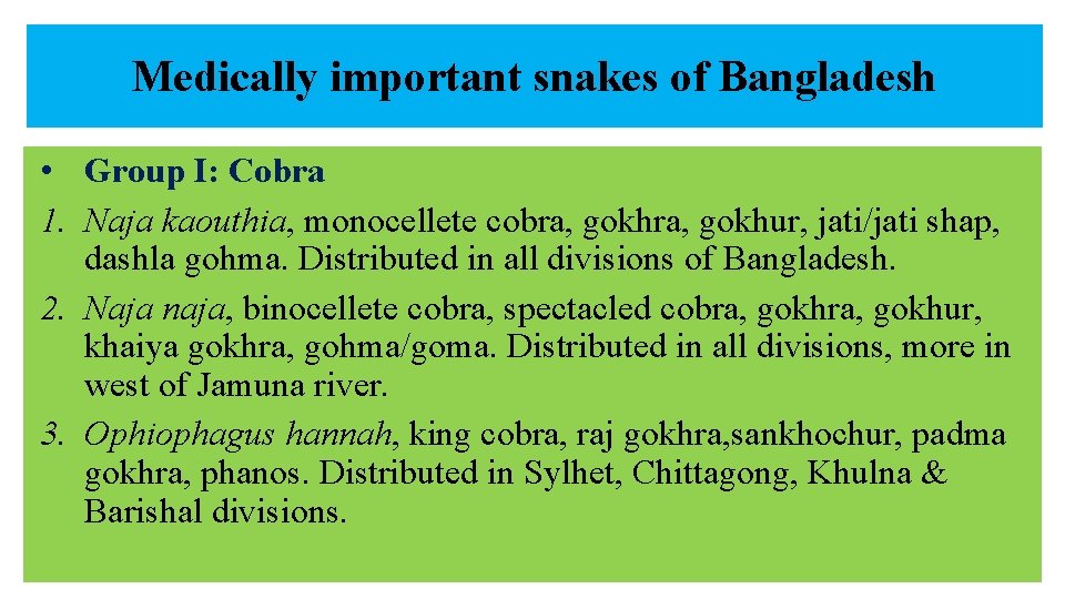 Medically important snakes of Bangladesh • Group I: Cobra 1. Naja kaouthia, monocellete cobra,