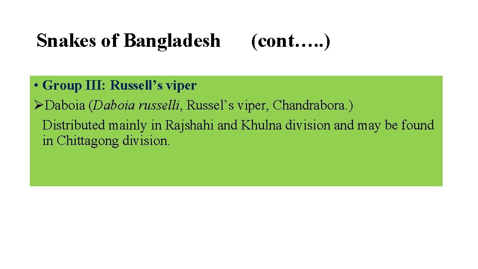 Snakes of Bangladesh (cont…. . ) • Group III: Russell’s viper ØDaboia (Daboia russelli,