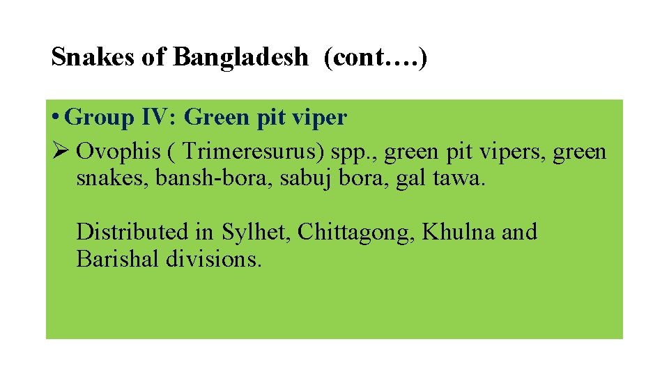 Snakes of Bangladesh (cont…. ) • Group IV: Green pit viper Ø Ovophis (