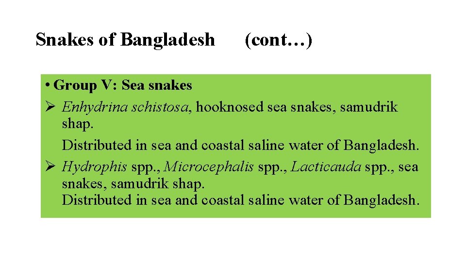 Snakes of Bangladesh (cont…) • Group V: Sea snakes Ø Enhydrina schistosa, hooknosed sea