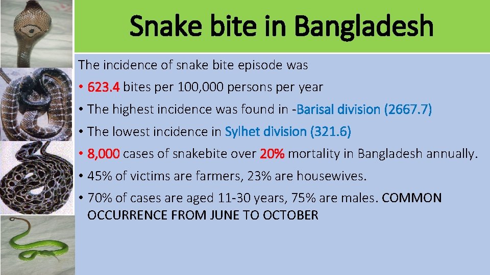 Snake bite in Bangladesh The incidence of snake bite episode was • 623. 4