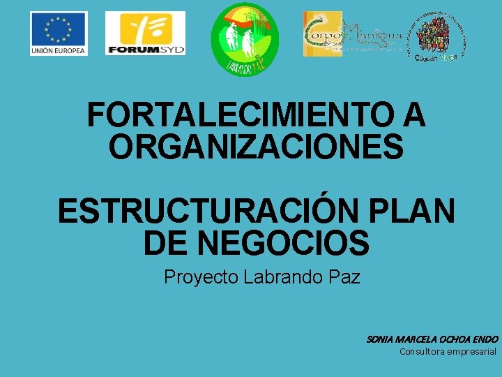 FORTALECIMIENTO A ORGANIZACIONES ESTRUCTURACIÓN PLAN DE NEGOCIOS Proyecto Labrando Paz SONIA MARCELA OCHOA ENDO