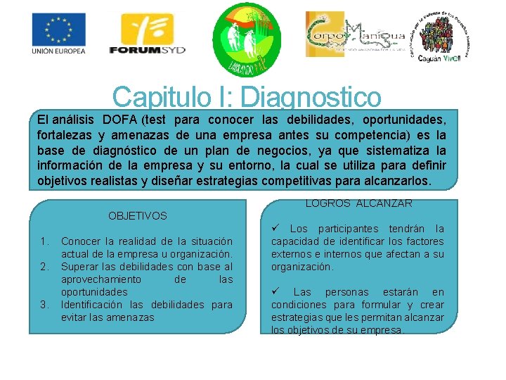 Capitulo I: Diagnostico El análisis DOFA (test para conocer las debilidades, oportunidades, fortalezas y