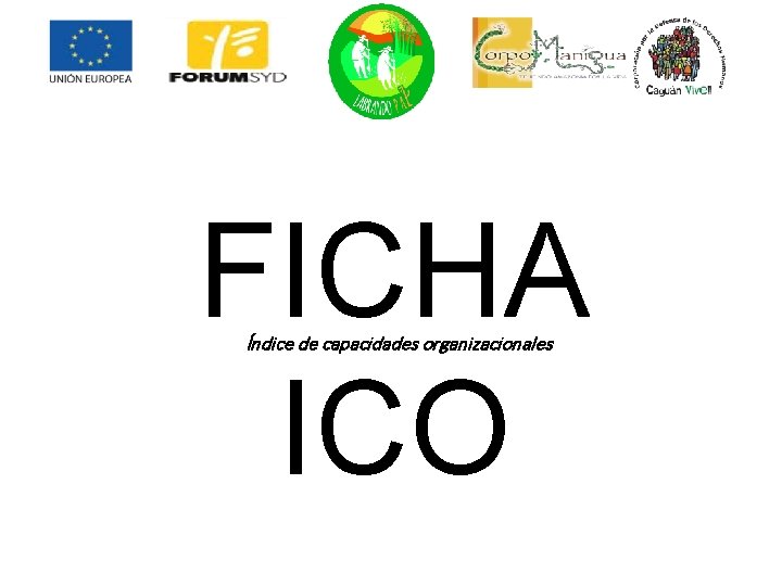 FICHA ICO Índice de capacidades organizacionales 