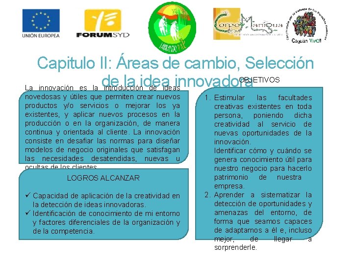 Capitulo II: Áreas de cambio, Selección OBJETIVOS de la idea innovadora La innovación es