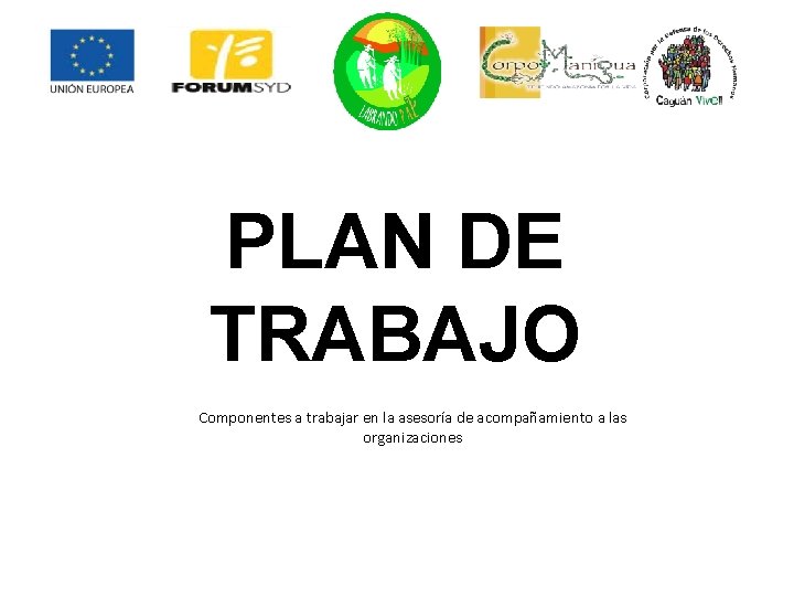 PLAN DE TRABAJO Componentes a trabajar en la asesoría de acompañamiento a las organizaciones