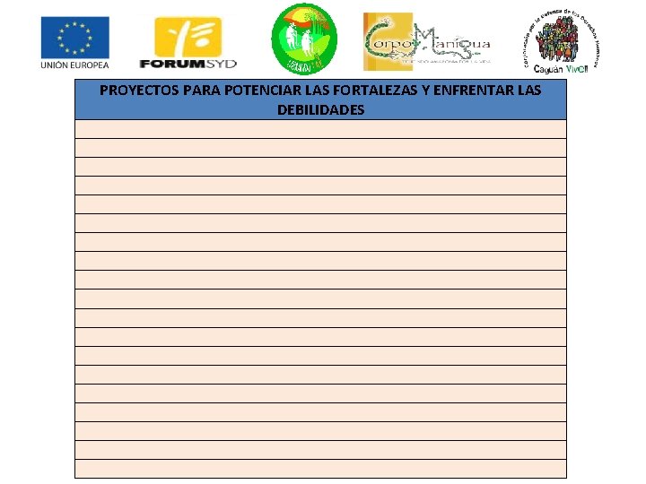 PROYECTOS PARA POTENCIAR LAS FORTALEZAS Y ENFRENTAR LAS DEBILIDADES 