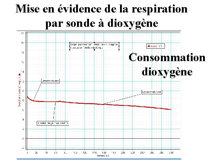 Mise en évidence de la respiration par sonde à dioxygène Consommation dioxygène 