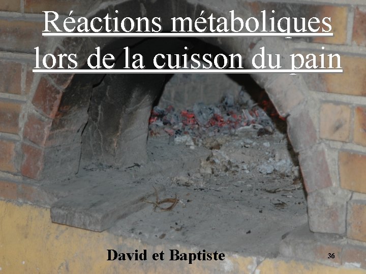 Réactions métaboliques lors de la cuisson du pain David et Baptiste 36 