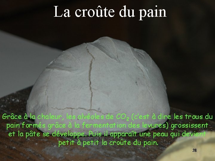 La croûte du pain Grâce à la chaleur, les alvéoles de CO 2 (c’est