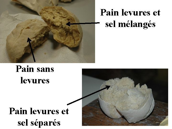 Pain levures et sel mélangés Pain sans levures Pain levures et sel séparés 