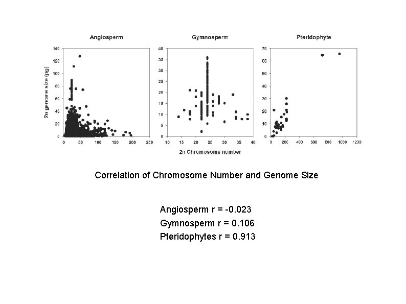Correlation of Chromosome Number and Genome Size Angiosperm r = -0. 023 Gymnosperm r