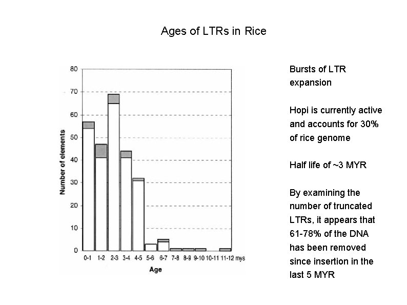 Ages of LTRs in Rice Bursts of LTR expansion Hopi is currently active and