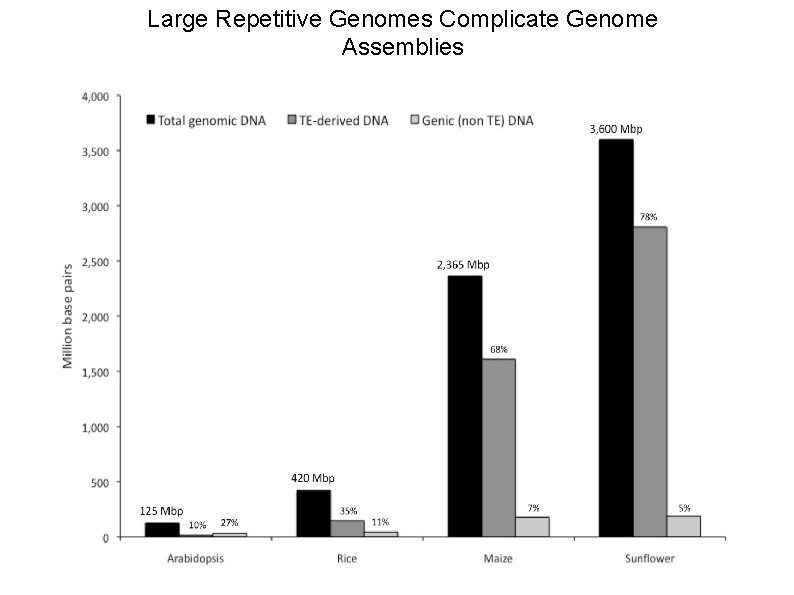Large Repetitive Genomes Complicate Genome Assemblies 