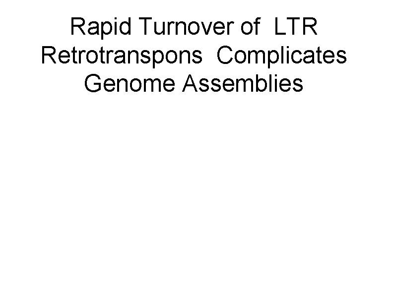 Rapid Turnover of LTR Retrotranspons Complicates Genome Assemblies 