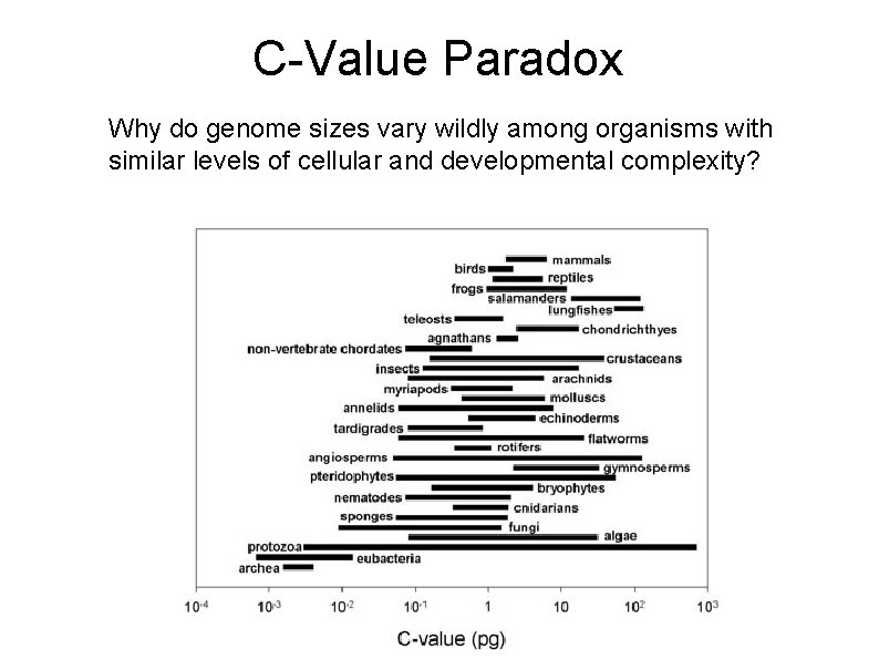 C-Value Paradox Why do genome sizes vary wildly among organisms with similar levels of