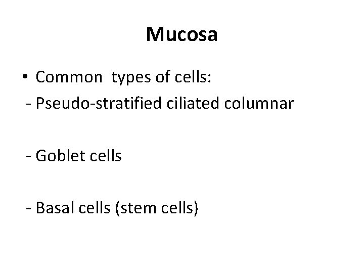 Mucosa • Common types of cells: - Pseudo-stratified ciliated columnar - Goblet cells -