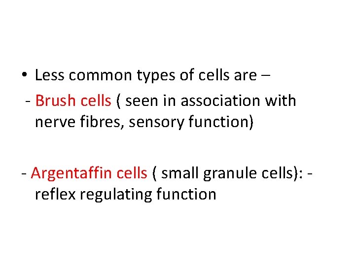  • Less common types of cells are – - Brush cells ( seen