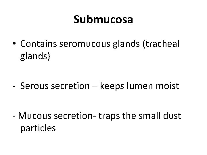 Submucosa • Contains seromucous glands (tracheal glands) - Serous secretion – keeps lumen moist