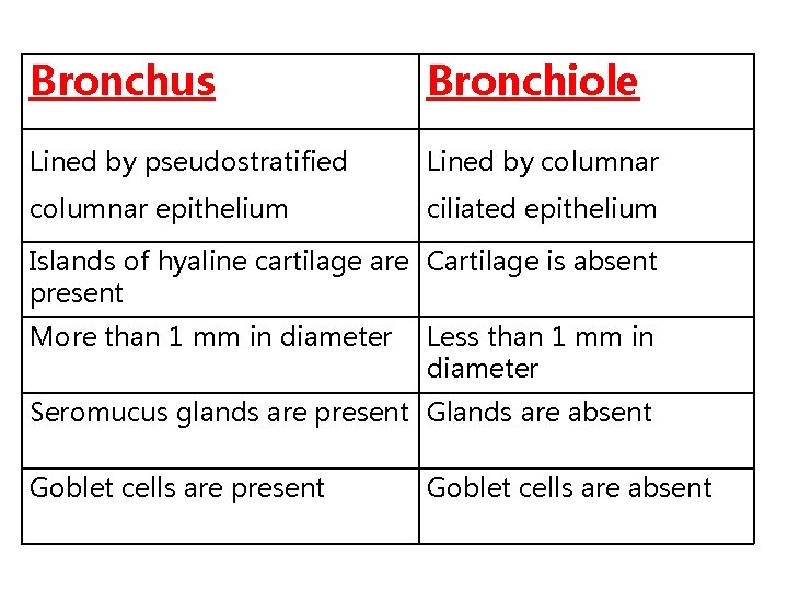 Bronchus Bronchiole Lined by pseudostratified Lined by columnar epithelium ciliated epithelium Islands of hyaline