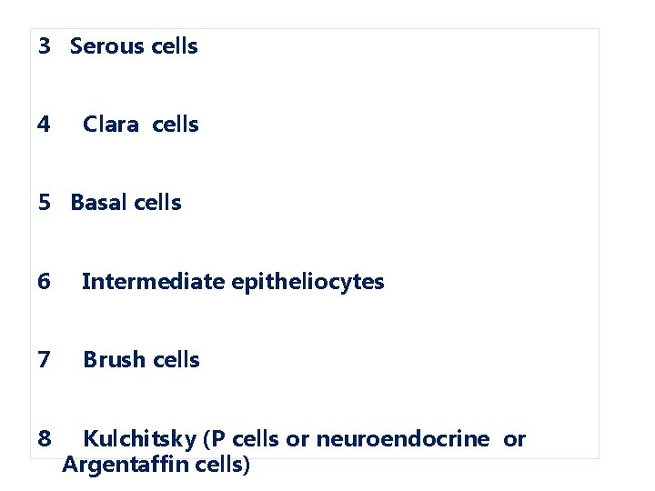 3 Serous cells 4 Clara cells 5 Basal cells 6 Intermediate epitheliocytes 7 Brush