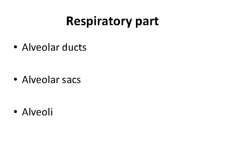 Respiratory part • Alveolar ducts • Alveolar sacs • Alveoli 