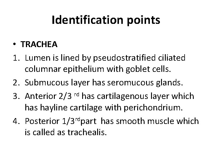 Identification points • TRACHEA 1. Lumen is lined by pseudostratified ciliated columnar epithelium with