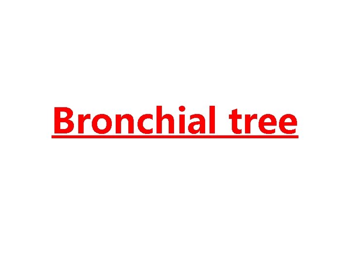 Bronchial tree 