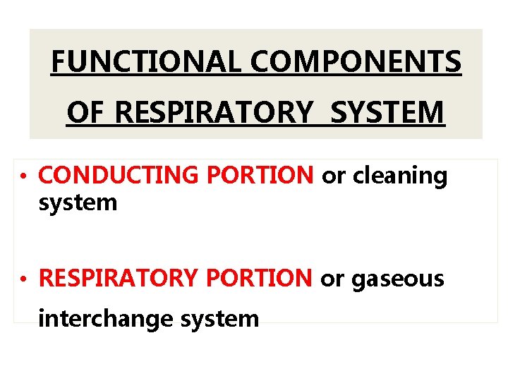 FUNCTIONAL COMPONENTS OF RESPIRATORY SYSTEM • CONDUCTING PORTION or cleaning system • RESPIRATORY PORTION