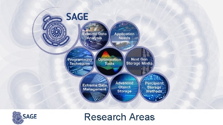 Research Areas 