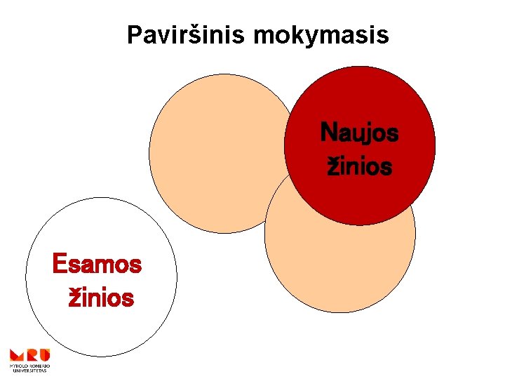 Paviršinis mokymasis Naujos žinios Esamos žinios 