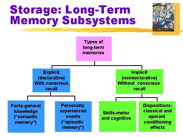 Storage: Long-Term Memory Subsystems Types of long-term memories Explicit (declarative) With conscious recall Facts-general