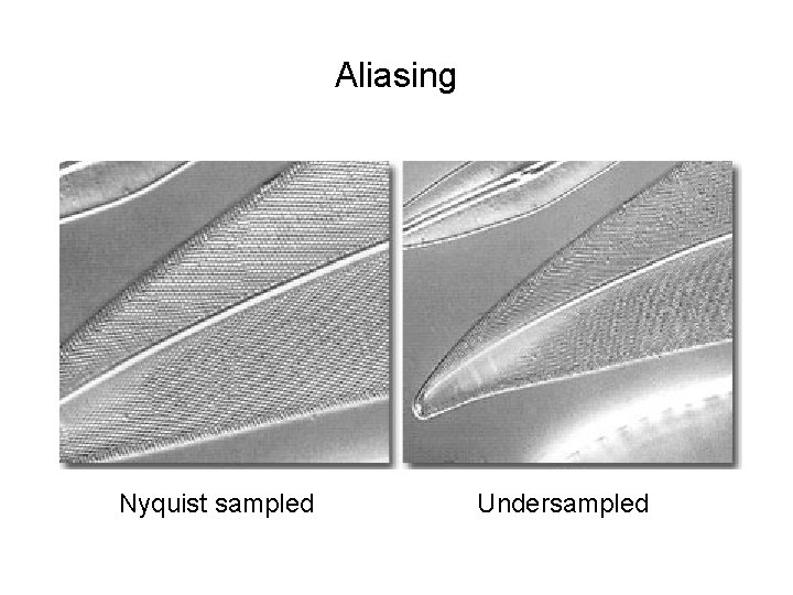Aliasing Nyquist sampled Undersampled 
