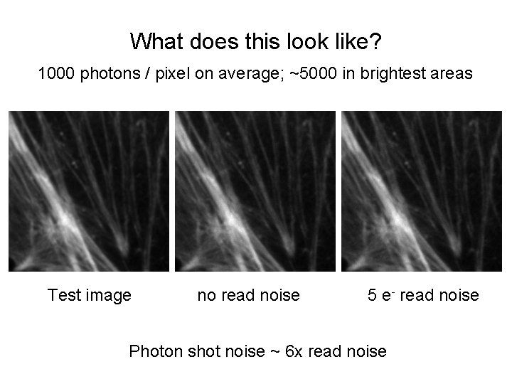 What does this look like? 1000 photons / pixel on average; ~5000 in brightest