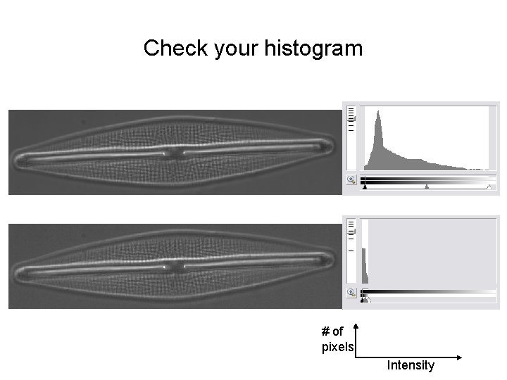 Check your histogram # of pixels Intensity 