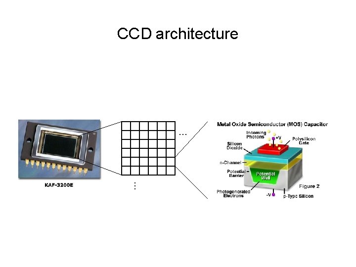 CCD architecture … … 