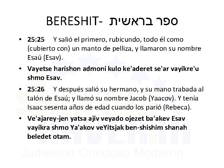 BERESHIT- בראשית ספר • 25: 25 Y salió el primero, rubicundo, todo él como