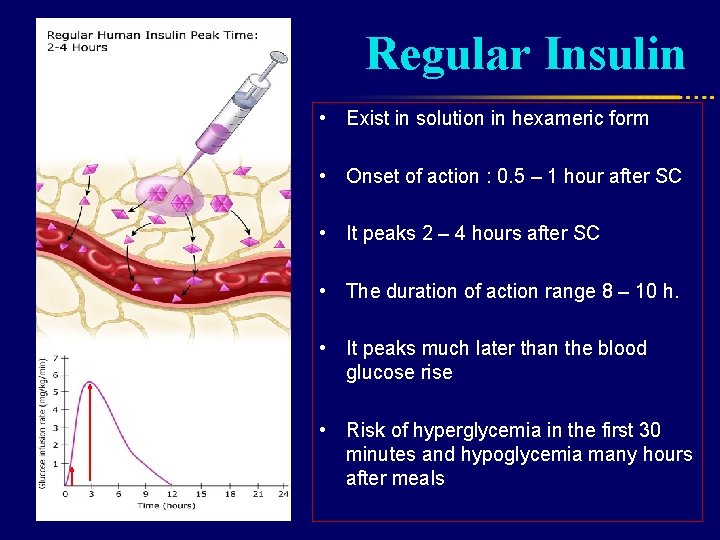 Regular Insulin • Exist in solution in hexameric form • Onset of action :