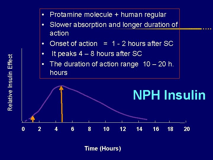 Relative Insulin Effect • Protamine molecule + human regular • Slower absorption and longer