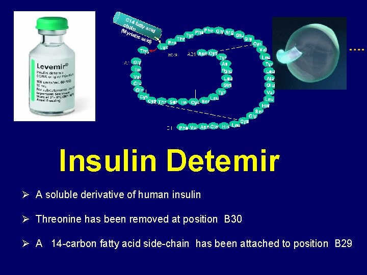 Insulin Detemir Ø A soluble derivative of human insulin Ø Threonine has been removed