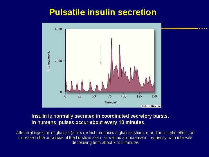 Pulsatile insulin secretion Insulin is normally secreted in coordinated secretory bursts. In humans, pulses