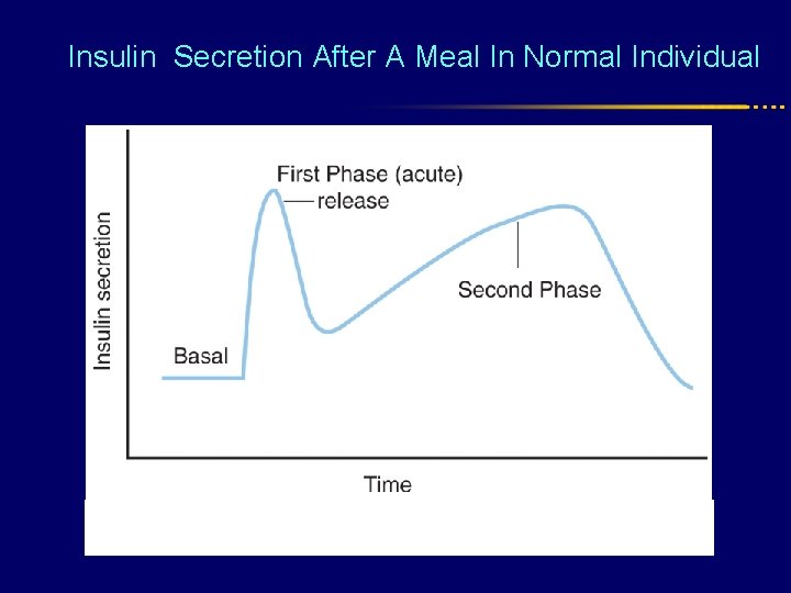Insulin Secretion After A Meal In Normal Individual 