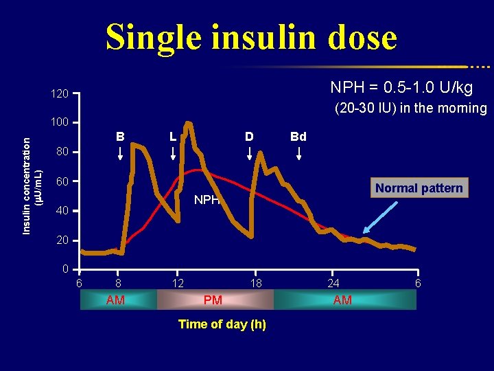 Single insulin dose NPH = 0. 5 -1. 0 U/kg (20 -30 IU) in