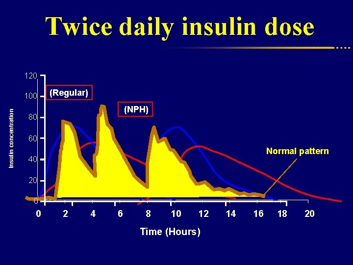 Twice daily insulin dose 120 Insulin concentration 100 (Regular) (NPH) 80 60 Normal pattern